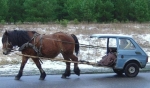 Horse pulling car